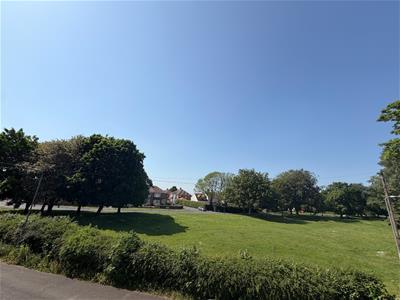Picture 16